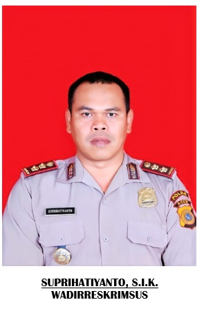 Wakil Direktur 